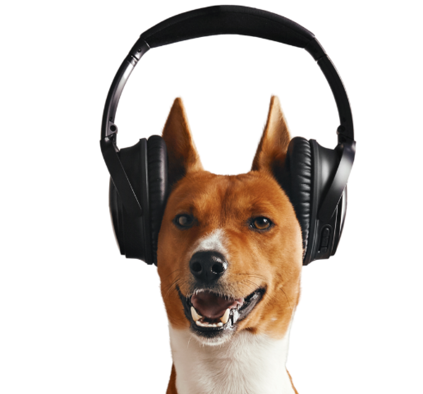 Registruokitės muzikos plano įsigijimui